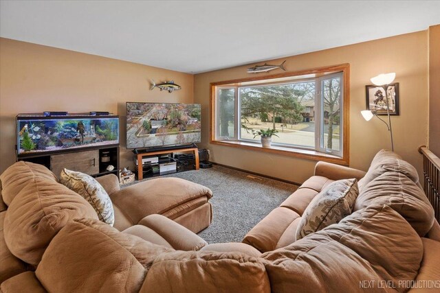 602 S Vista Dr, Algonquin, IL 60102 - carpeted living room featuring baseboards
