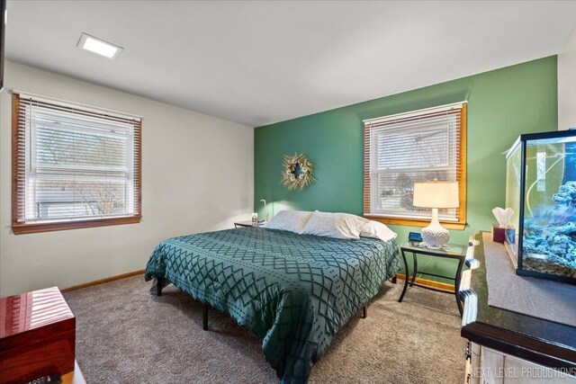 602 S Vista Dr, Algonquin, IL 60102 - bedroom with carpet floors, multiple windows, and baseboards