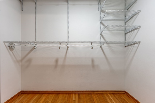 walk in closet with light wood-type flooring