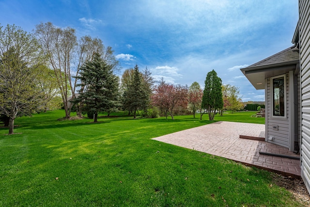 view of yard with a patio