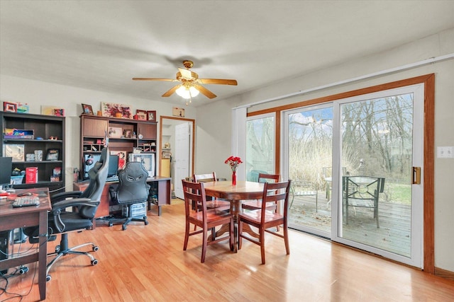 dining room with ceiling fan and light wood finished floors