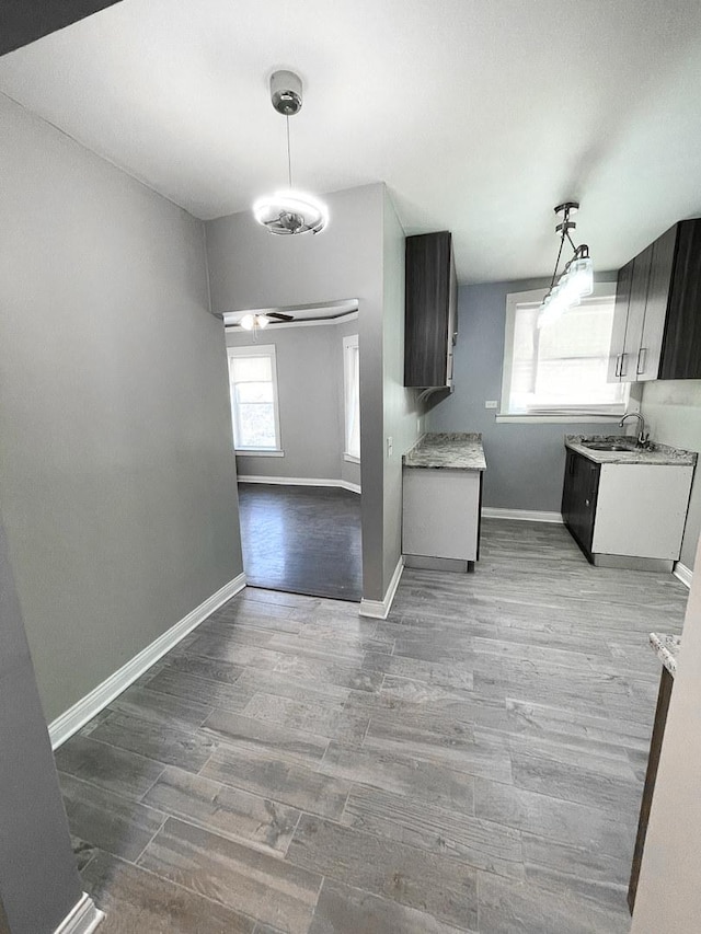 6634 S Greenwood Ave Unit 3B, Chicago, IL 60637 - kitchen featuring a wealth of natural light, wood finished floors, and a sink