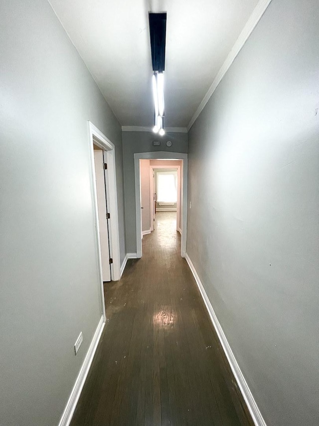 6634 S Greenwood Ave Unit 3B, Chicago, IL 60637 - hall featuring hardwood / wood-style flooring and baseboards