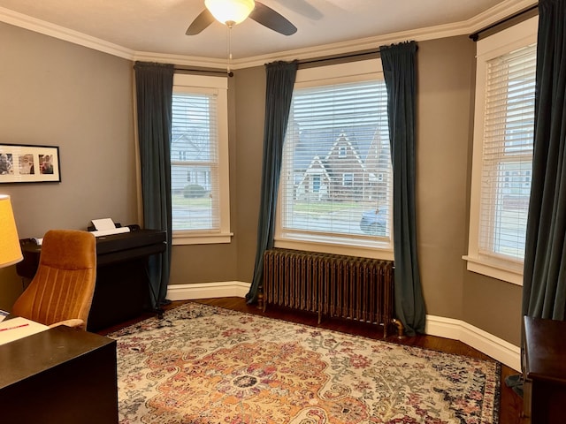 office area featuring ceiling fan, radiator, wood finished floors, and crown molding
