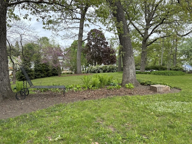 24109 64th Pl, Paddock Lake, WI 53168 - view of green lawn