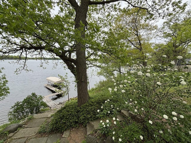 24109 64th Pl, Paddock Lake, WI 53168 - water view with a boat dock