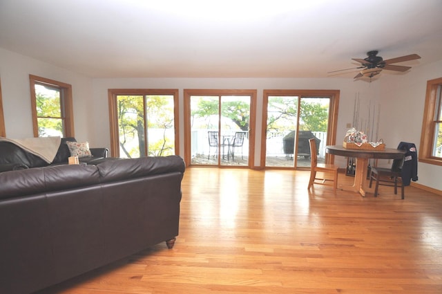 24109 64th Pl, Paddock Lake, WI 53168 - living area featuring light wood-type flooring and ceiling fan