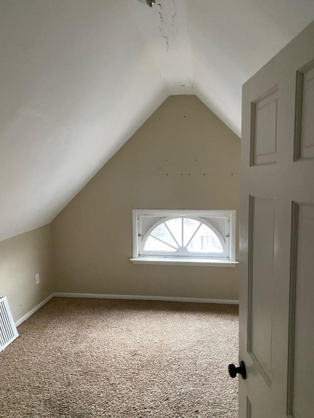 additional living space with carpet flooring, baseboards, and lofted ceiling
