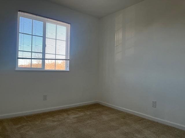empty room featuring healthy amount of natural light, baseboards, and carpet