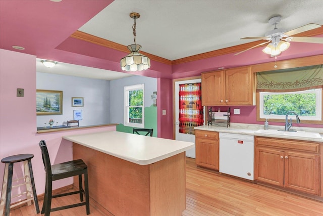 313 W Church St, Savoy, IL 61874 - kitchen featuring light countertops, white dishwasher, a sink, and light wood finished floors