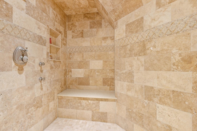 831 Alberosky Way, Batavia, IL 60510 - detailed view of a tile shower