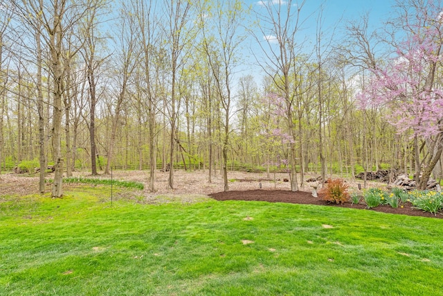 831 Alberosky Way, Batavia, IL 60510 - view of green lawn