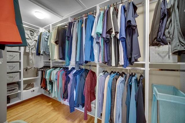 934 Robertson Rd, South Elgin, IL 60177 - spacious closet with wood finished floors