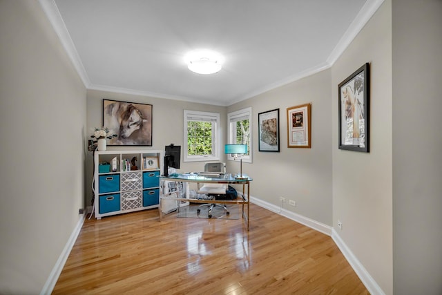 934 Robertson Rd, South Elgin, IL 60177 - office featuring ornamental molding, light wood-type flooring, and baseboards