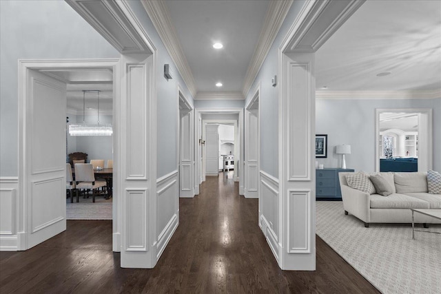 hallway featuring dark wood-style floors, a decorative wall, and crown molding