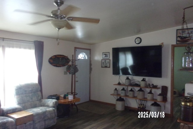 507 N Fifth St, Ashkum, IL 60911 - living area with a ceiling fan, plenty of natural light, vaulted ceiling, and wood finished floors