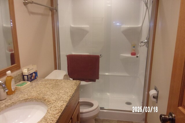 507 N Fifth St, Ashkum, IL 60911 - full bath with toilet, vanity, and a stall shower