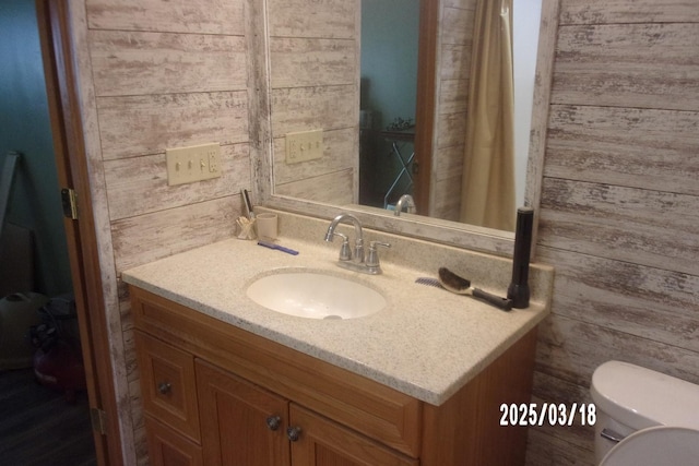 507 N Fifth St, Ashkum, IL 60911 - bathroom with wooden walls, toilet, and vanity