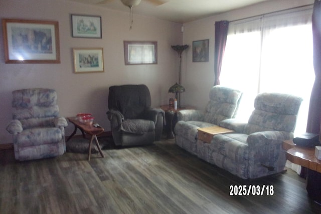 507 N Fifth St, Ashkum, IL 60911 - living room with lofted ceiling, wood finished floors, and ceiling fan
