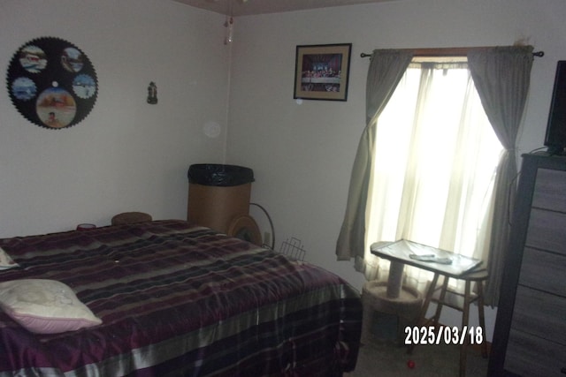 507 N Fifth St, Ashkum, IL 60911 - view of bedroom