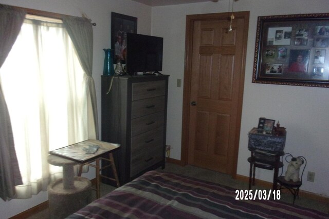 507 N Fifth St, Ashkum, IL 60911 - bedroom featuring baseboards