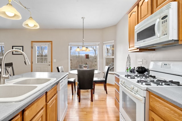 kitchen featuring light wood-type flooring, white appliances, light countertops, pendant lighting, and a sink