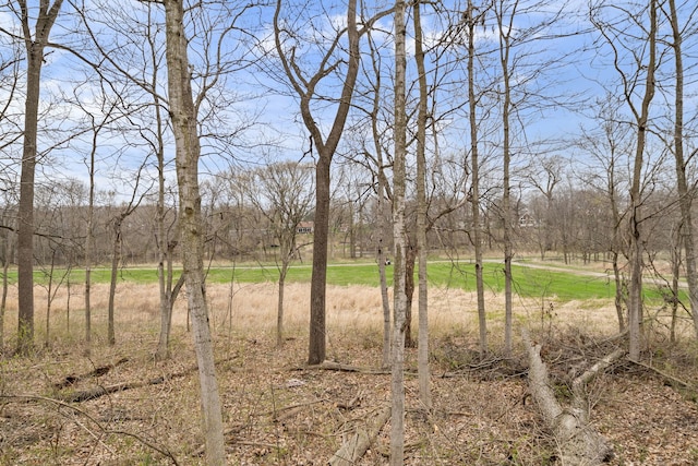 view of landscape