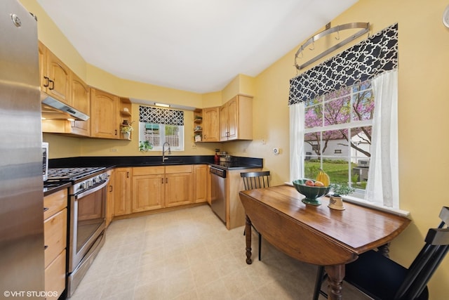 807 Webster Ave, Wheaton, IL 60187 - kitchen featuring a sink, under cabinet range hood, dark countertops, and stainless steel appliances