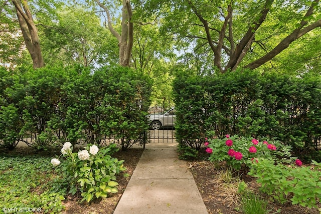 1957 W Schiller St, Chicago, IL 60622 - view of community with a gate