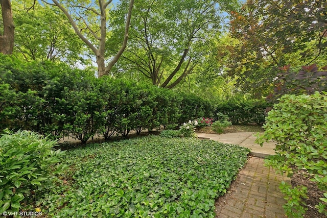 1957 W Schiller St, Chicago, IL 60622 - view of yard