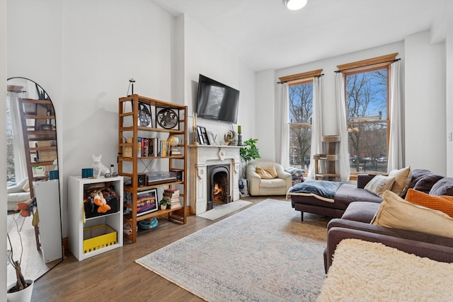 living area featuring a fireplace with flush hearth and wood finished floors