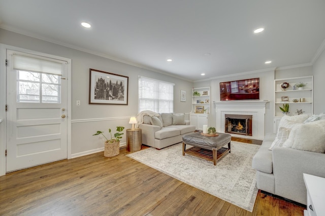 living room with a fireplace, wood finished floors, ornamental molding, and plenty of natural light