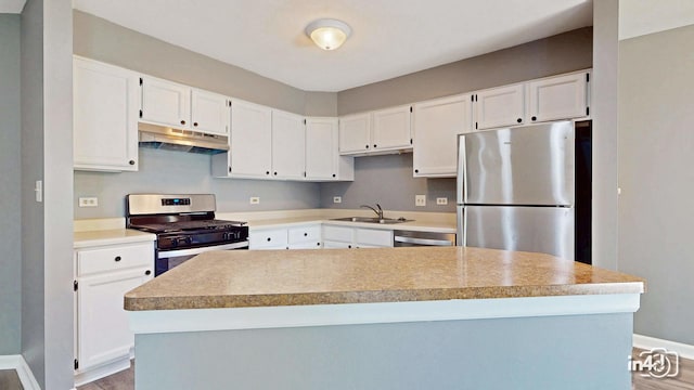 183 W Brandon Ct Unit C, Palatine, IL 60067 - kitchen with appliances with stainless steel finishes, under cabinet range hood, a sink, and white cabinetry