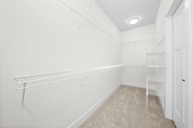 walk in closet featuring carpet