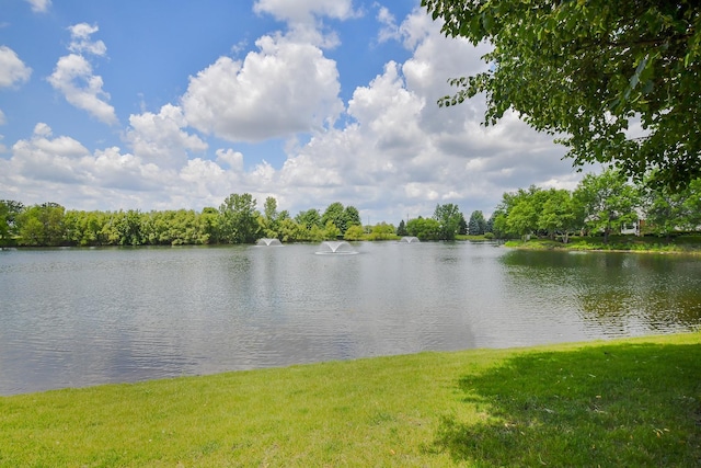 213 Dorset Ave, Oswego, IL 60543 - water view