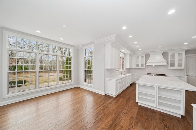 kitchen featuring light countertops, custom exhaust hood, dark wood-type flooring, a sink, and open shelves