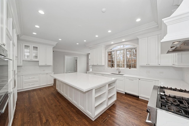 kitchen featuring a kitchen island, a sink, and white cabinetry