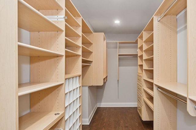spacious closet featuring dark wood-style floors