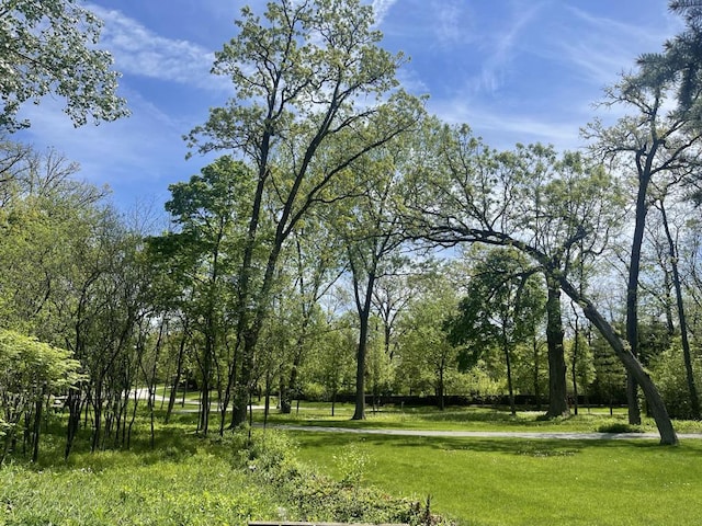view of nature
