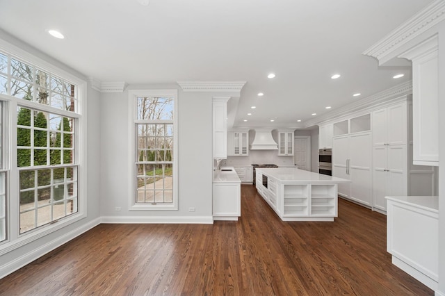 kitchen featuring white cabinetry, light countertops, premium range hood, ornamental molding, and a sink