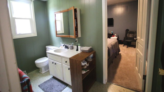 309 W 5th St, Minonk, IL 61760 - bathroom with toilet, vanity, and wood walls