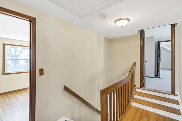 915 N Saratoga Dr, Palatine, IL 60074 - stairway featuring attic access, baseboards, and wood finished floors
