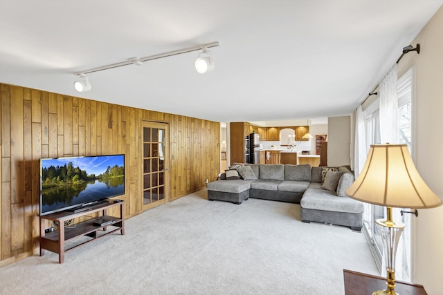 915 N Saratoga Dr, Palatine, IL 60074 - living area with rail lighting, light carpet, and wooden walls