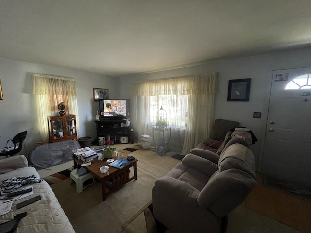 221 Heine Ave, Elgin, IL 60123 - living area featuring light carpet and a healthy amount of sunlight
