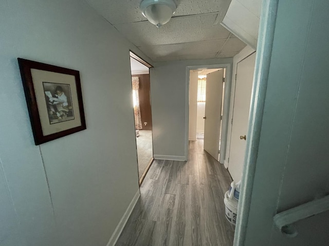 221 Heine Ave, Elgin, IL 60123 - hall featuring baseboards, a drop ceiling, and wood finished floors