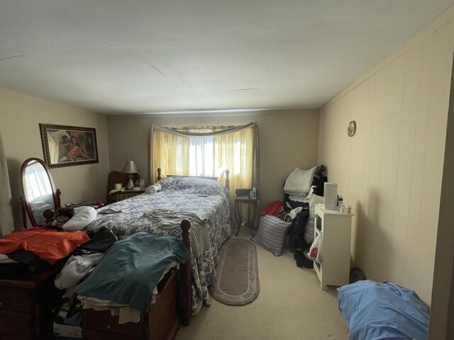 221 Heine Ave, Elgin, IL 60123 - view of carpeted bedroom