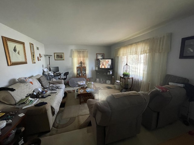 221 Heine Ave, Elgin, IL 60123 - view of living area