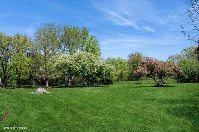 307 Anne Ct, Prospect Heights, IL 60070 - view of yard