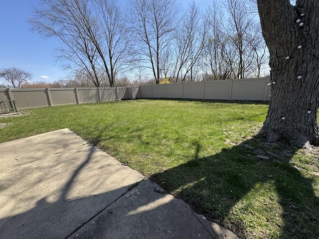 5125 Imperial Dr, Richton Park, IL 60471 - view of yard with a patio area and a fenced backyard