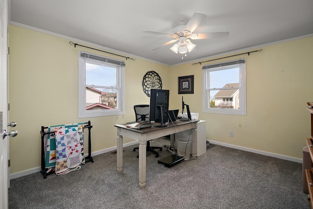 1215 Stratford Dr W, Bourbonnais, IL 60914 - carpeted office space with baseboards, ceiling fan, crown molding, and plenty of natural light